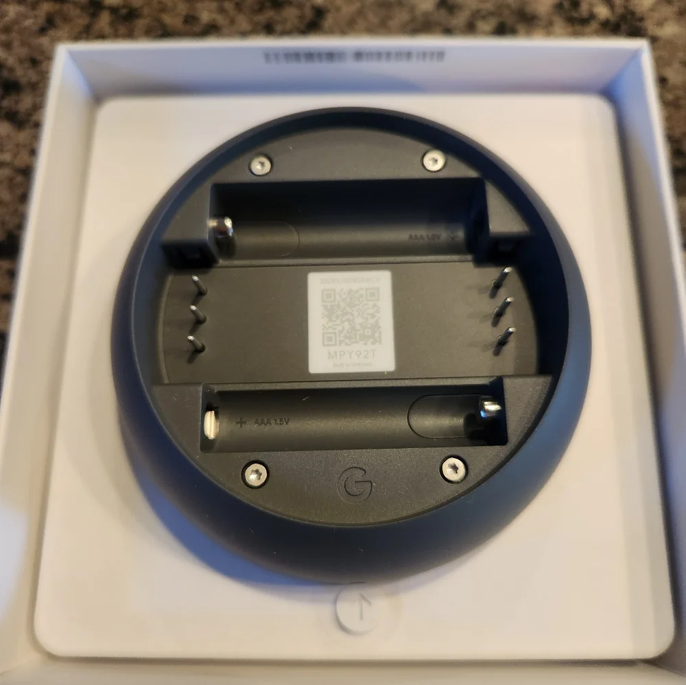 Google meet nest